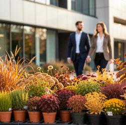 Massif fleuri composé de vivaces en godets devant un bâtiment d’entreprise moderne, avec des employés flous en arrière-plan sous une douce lumière d’octobre.